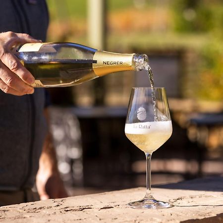 Agriturismo La Ratta Vernasca Ngoại thất bức ảnh